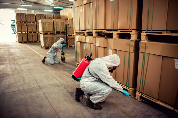 Flea Control Services in Wood Village, OR