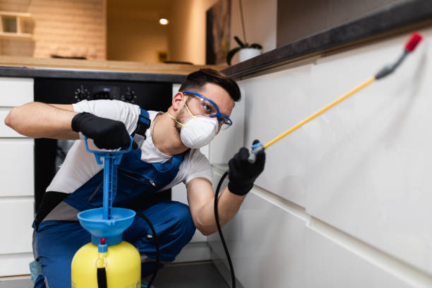 Best Pest Control Treatment  in Wood Village, OR