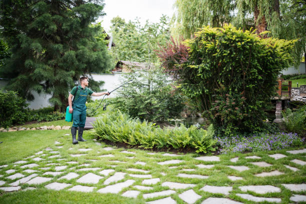 Best Ant Control Services  in Wood Village, OR