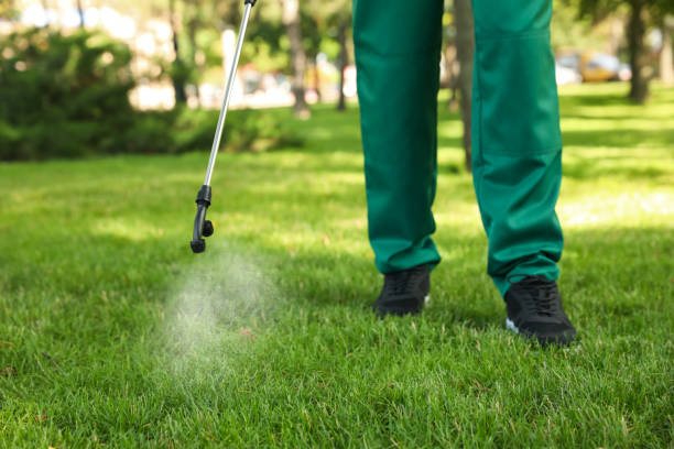 Best Mosquito Control Services  in Wood Village, OR