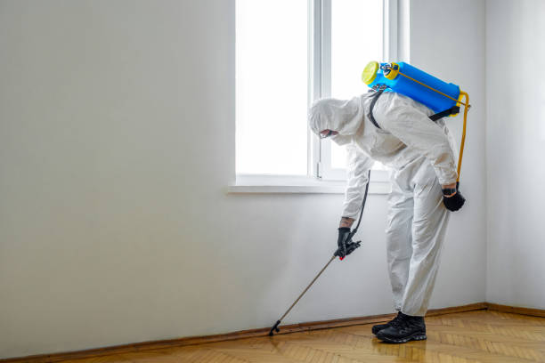 Best Affordable Pest Control Services  in Wood Village, OR