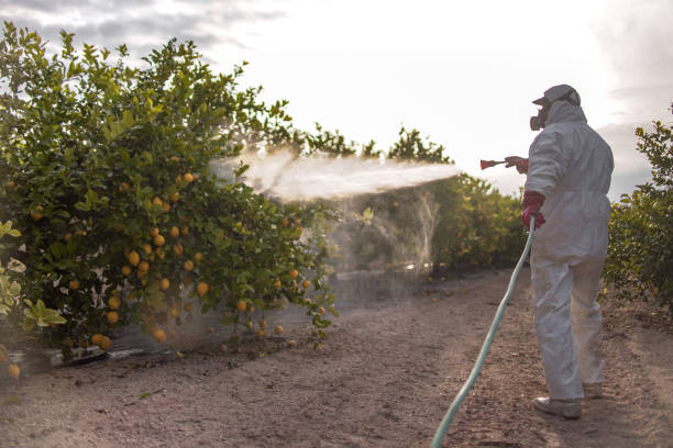 Best Pest Prevention Services  in Wood Village, OR