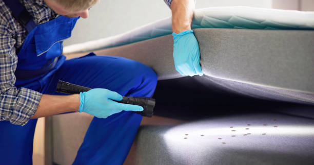 Best Pest Removal Services  in Wood Village, OR