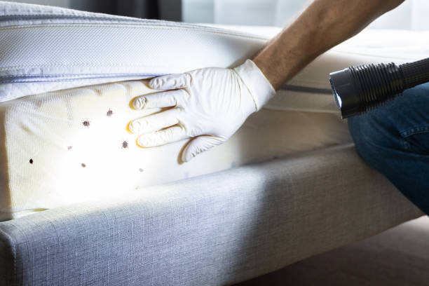 Best Bed Bug Extermination  in Wood Village, OR