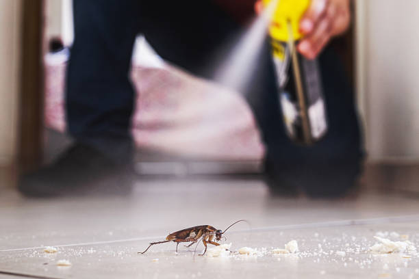  Wood Village, OR Pest Control Pros