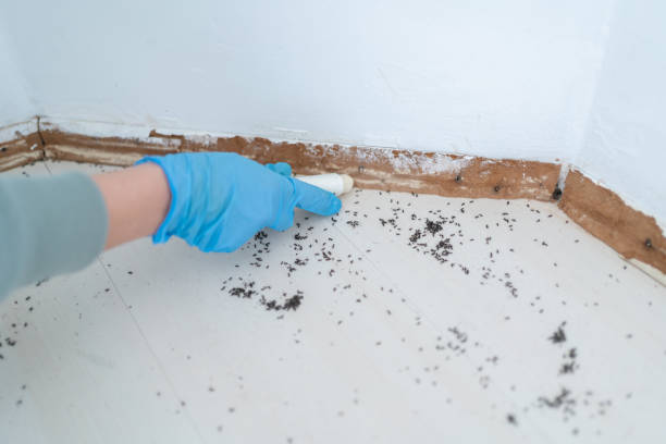 Best Exterminator Services  in Wood Village, OR