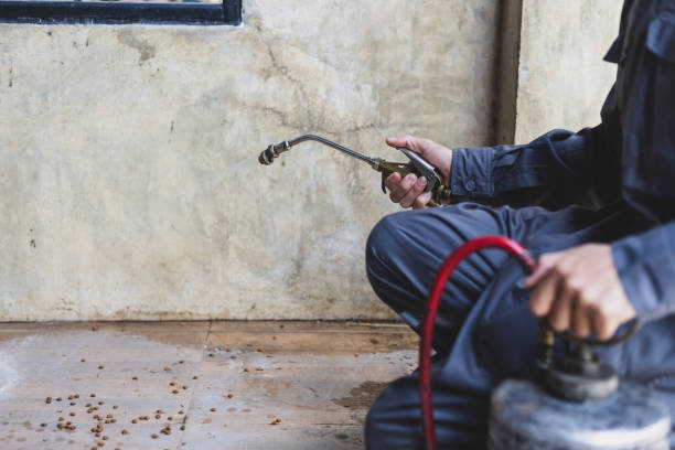 Best Local Pest Control Services  in Wood Village, OR